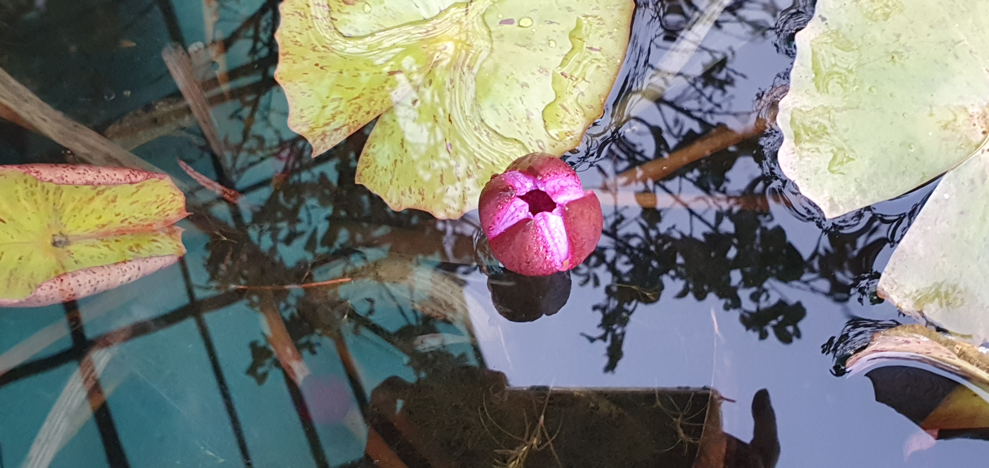 img.jpg