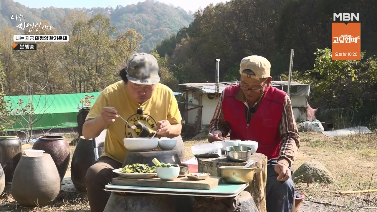 나는 자연인이다.E581.231123p-NEXT.mp4_20231123_200717.631.jpg