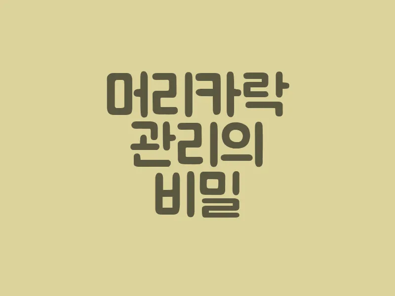 머리카락 관리의 비밀