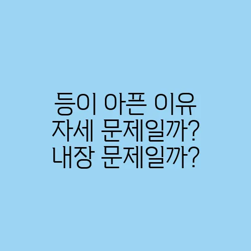 등이 아픈 이유 자세 문제일까? 내장 문제일까?