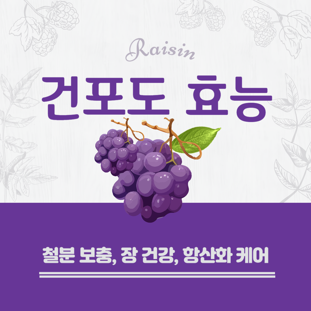 건포도 효능, 건강 비밀 공개