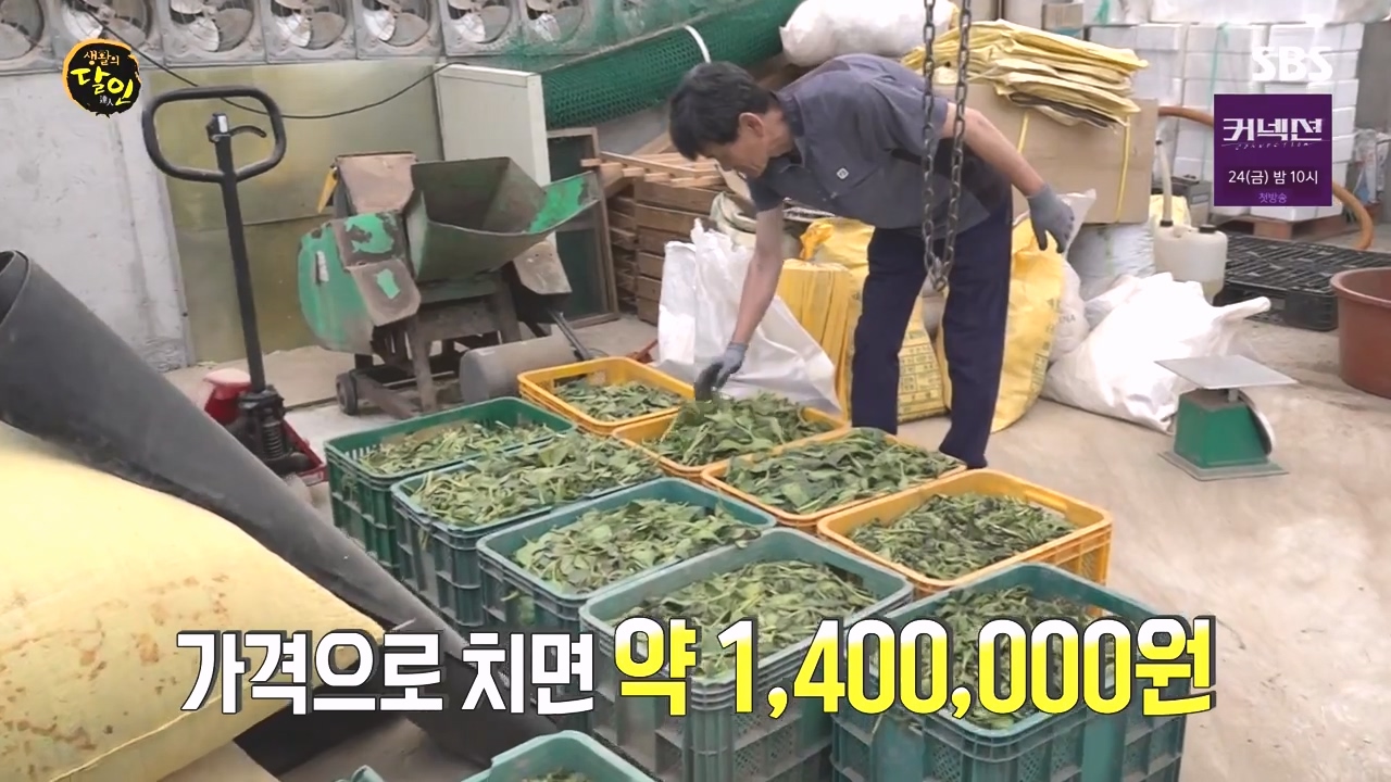 생활의 달인.E934.240507p-NEXT.mp4_20240507_193311.220.jpg