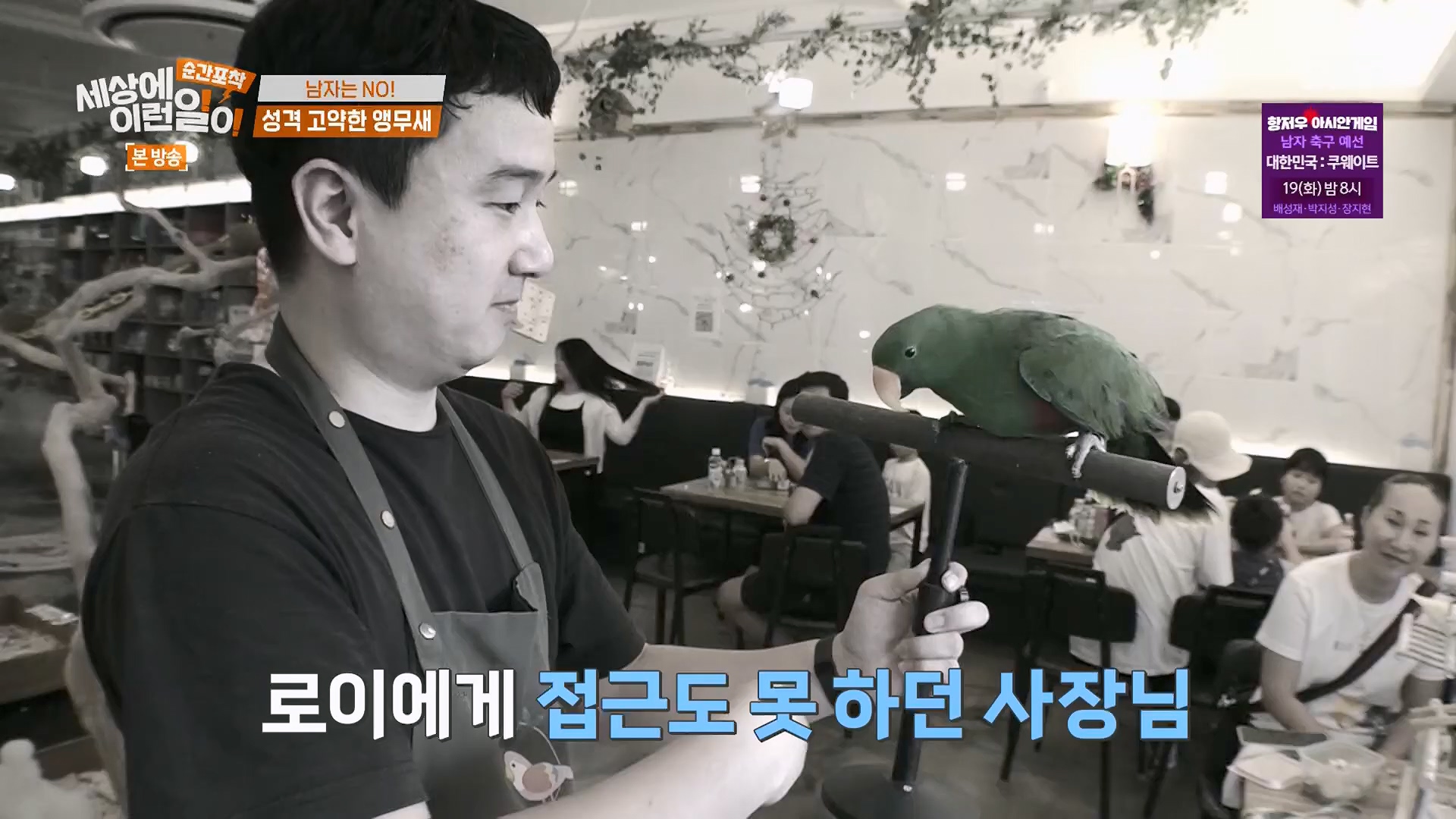 순간포착 세상에 이런일이.E1246.230916p.H264-F1RST.mp4_20230917_171123.006.jpg