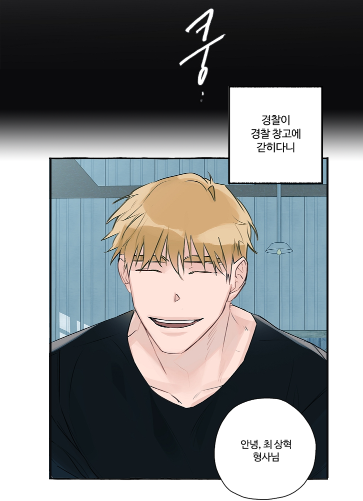  봄툰 완벽한체포