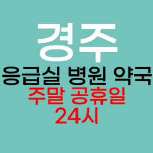 경주 주말 공휴일 약국 병원 응급실 찾기 토요일 일요일 야간진료 24시 심야 열린약국 영업시간 진료시간