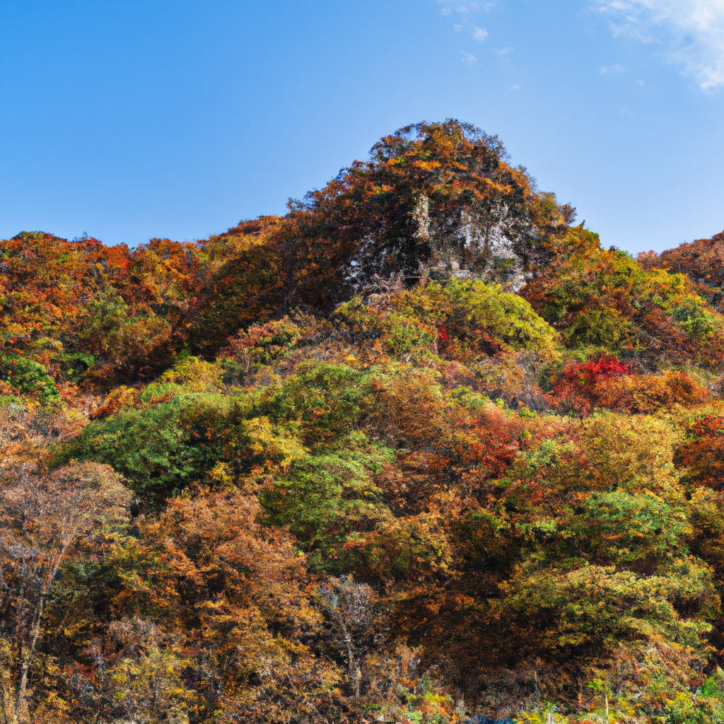 가을 단풍