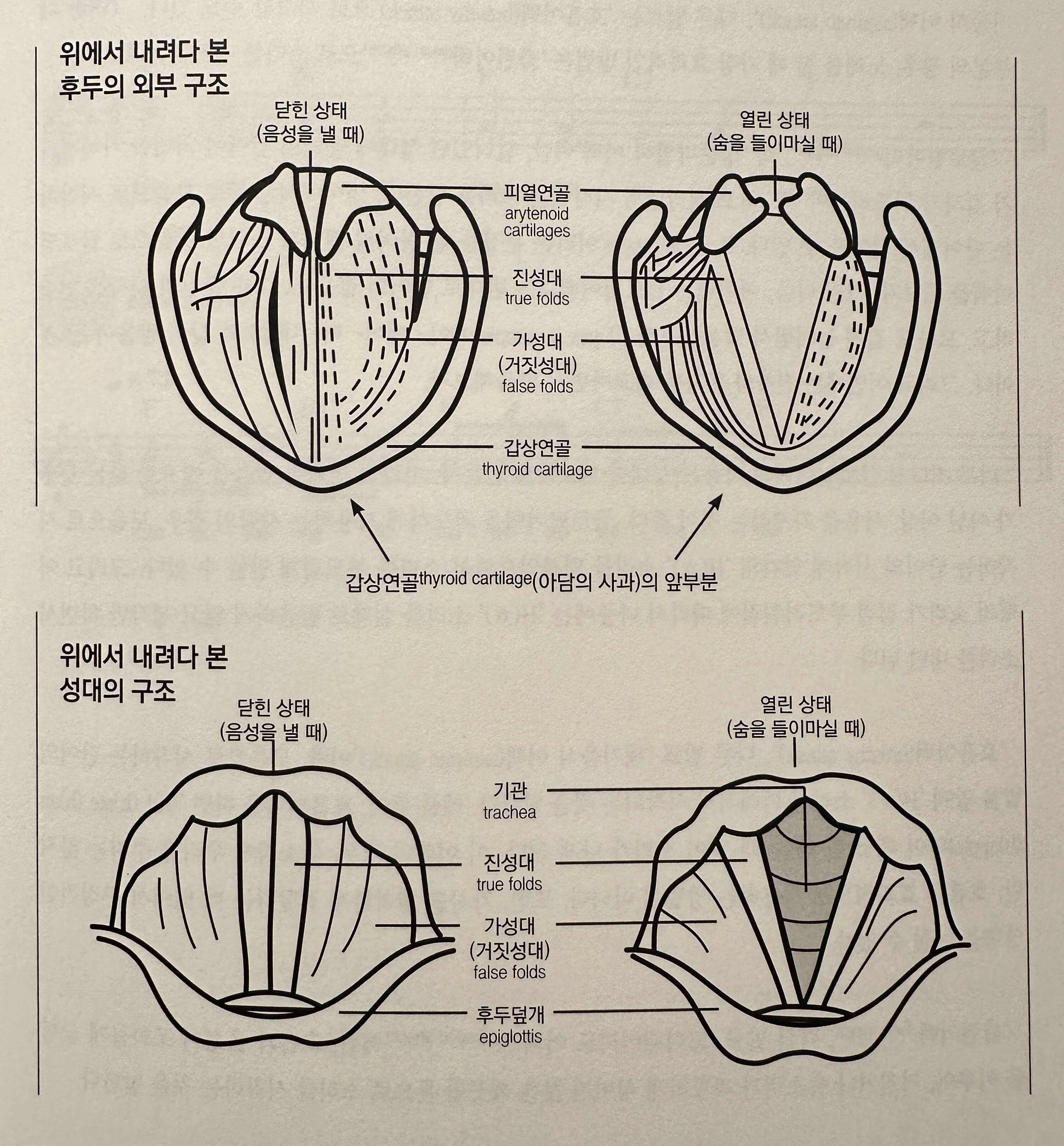 공명