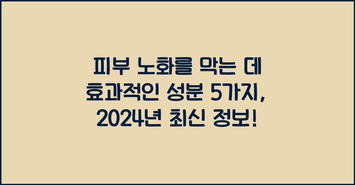 피부 노화를 막는 데 효과적인 성분 5가지