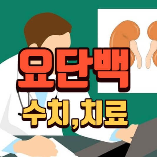  요단백(단백뇨) 경계 양성 약양성 수치 원인, 치료 (신장)
