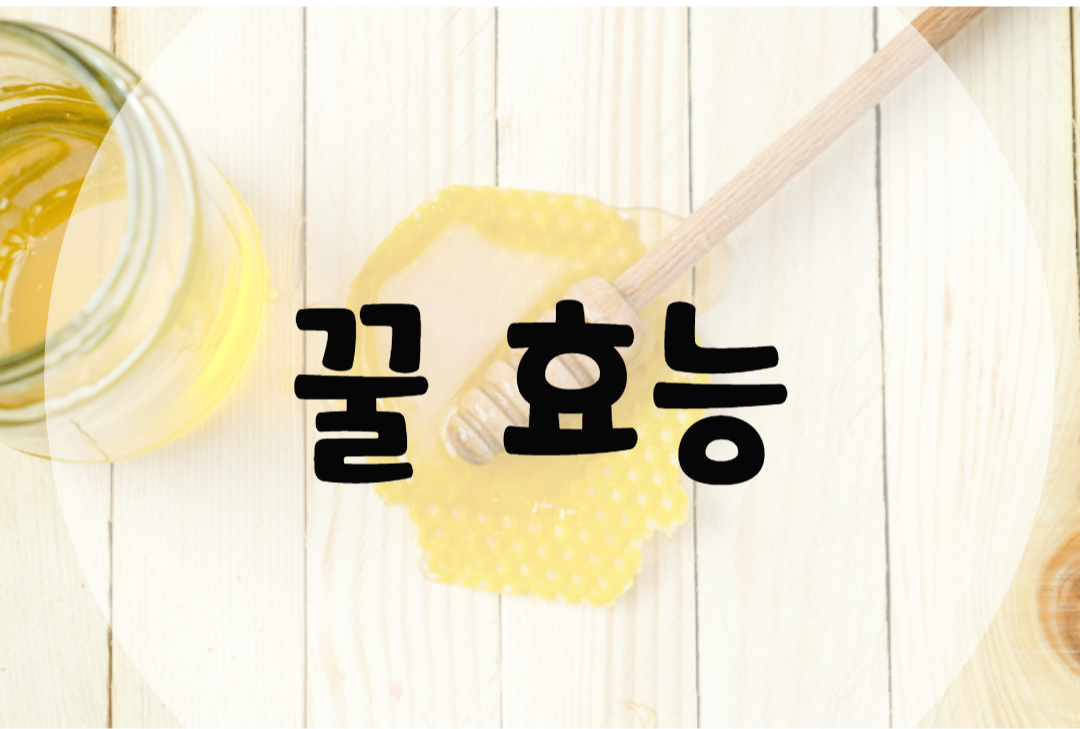  꿀 효능 :: 맛있기만 한줄 알았지
