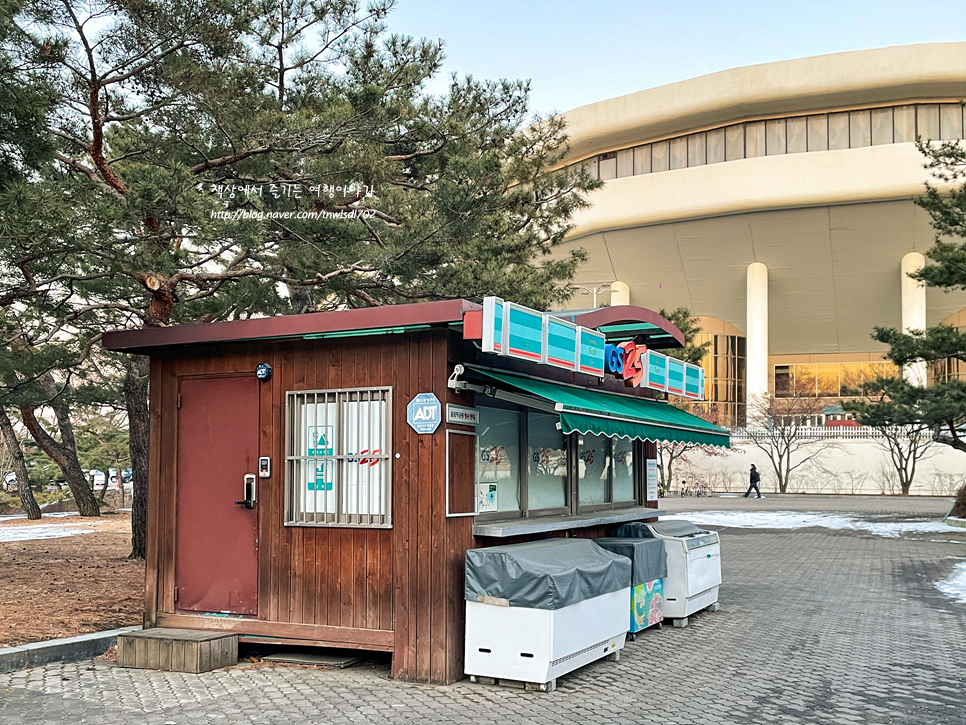 올림픽공원 나홀로나무 사진찍기 좋은곳 서울 가볼만한곳 겨울 27