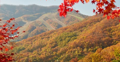 화담숲 예약 방법과 모노레일예약 및 입장료까지 한눈에 알아보기