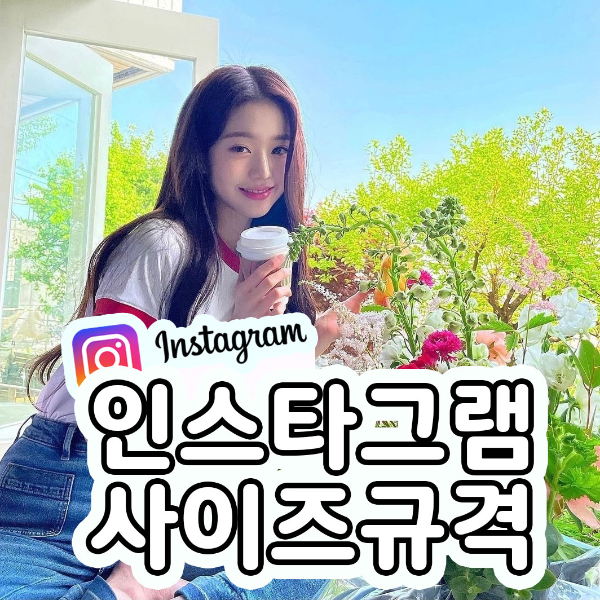  Instagram 인스타그램 기능팁 업로드 사이즈 규격