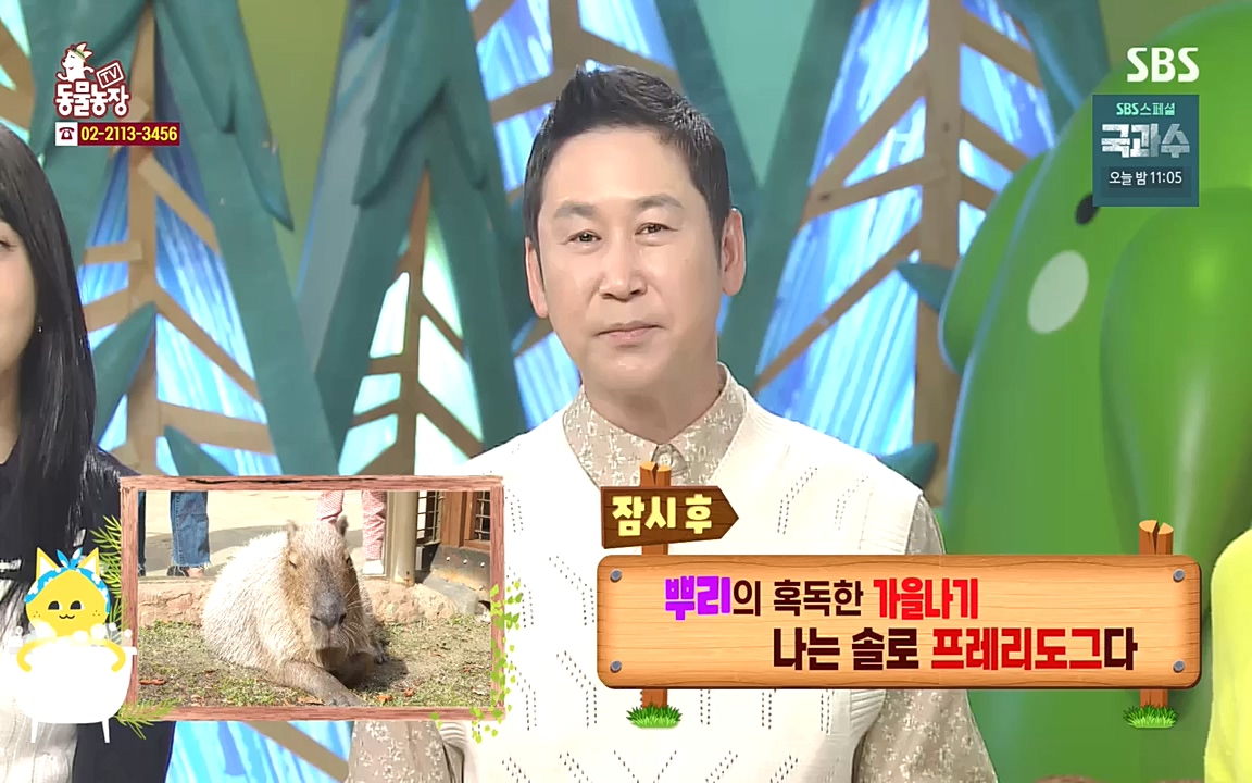 TV 동물농장.E1090.221010p-NEXT.mp4_20221009_182009.412.jpg