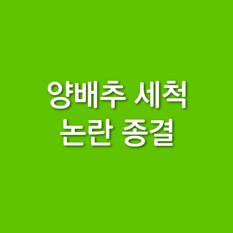  [양배추 논란 종결] 양배추는 한장 한장 깨끗이 씻어야 할까?