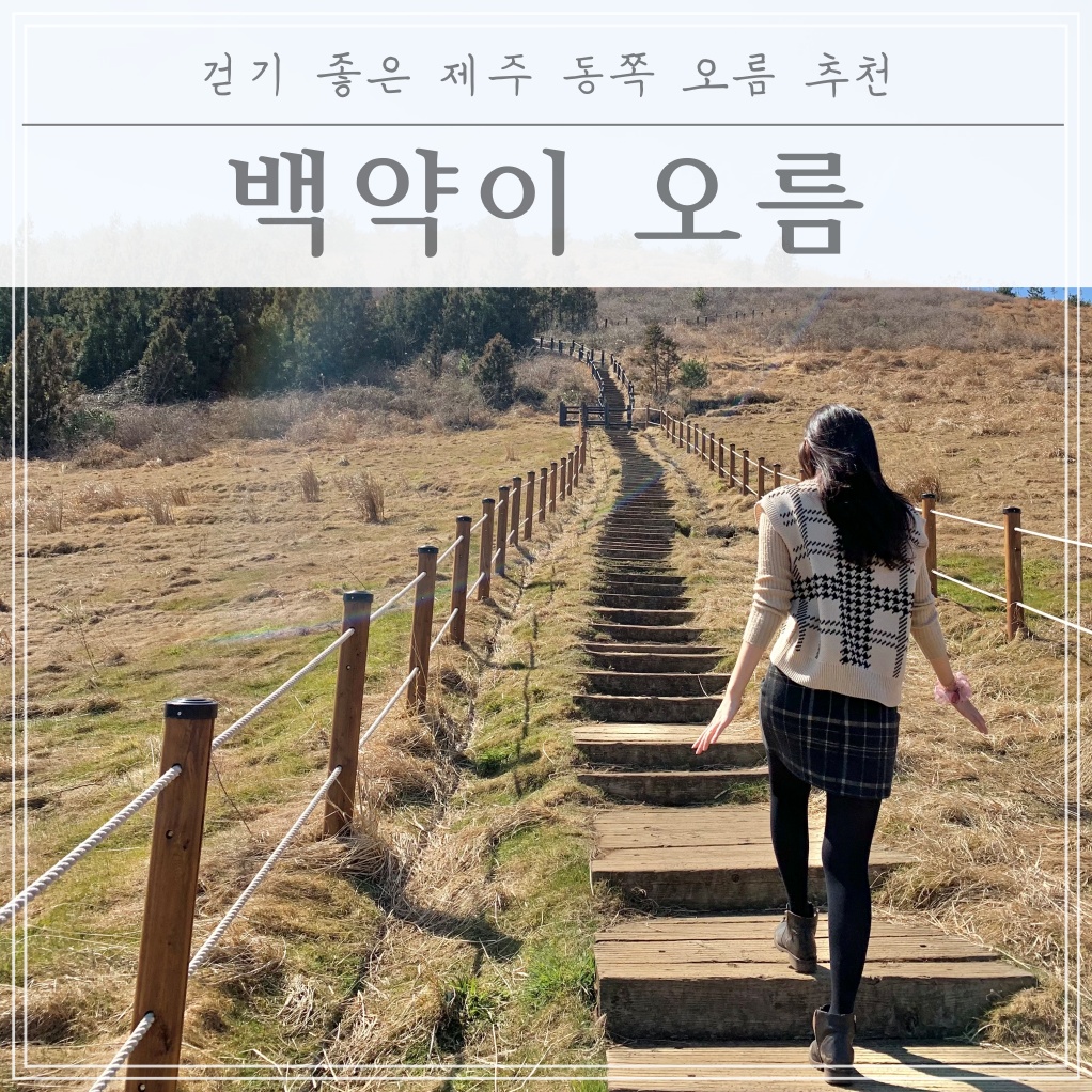  천국의계단으로 유명한 제주 백약이오름(난이도: 쉬움)