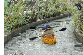 제주 비체올린