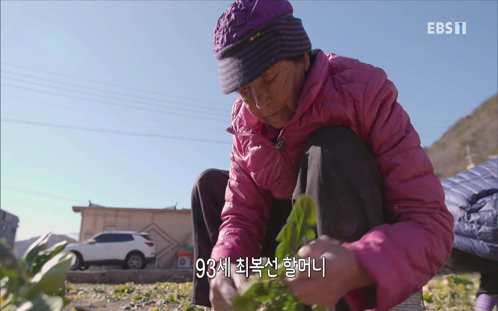 EBS 명의 헬스케어 - TV - 교육의 중심 EBS노화를 막는 다섯가지 열쇠.mp4_20220725_201258.615.jpg