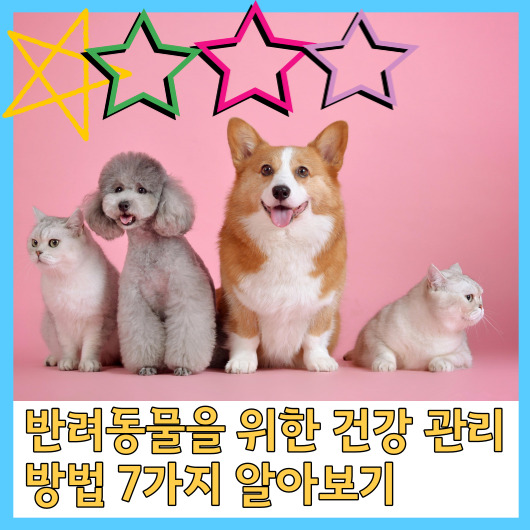  반려동물을 위한 건강 관리 방법 7가지 알아보기