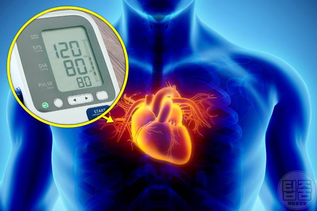 차전자피 효능 부작용 하루권장량 매일 혈압 심장