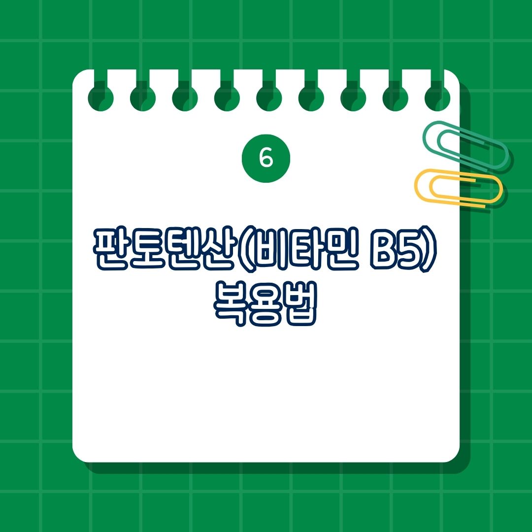 판토텐산, Pantothenic acid, 비타민B5, Vitamin B5, Vit B5 복용법, 보충법