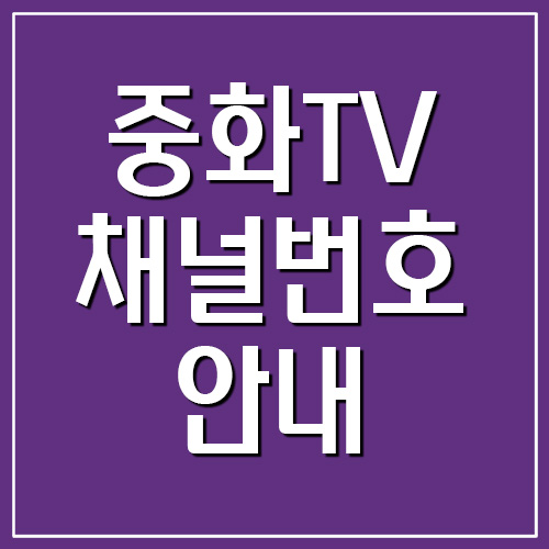 중화TV 채널번호