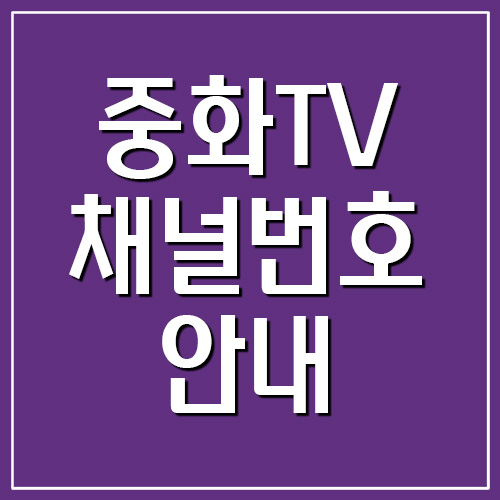  중화TV 채널번호 안내