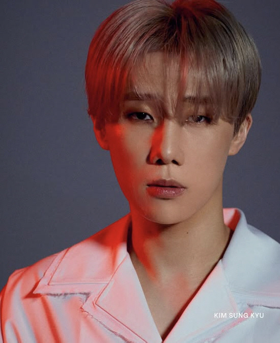 인피니트 김성규 누나상