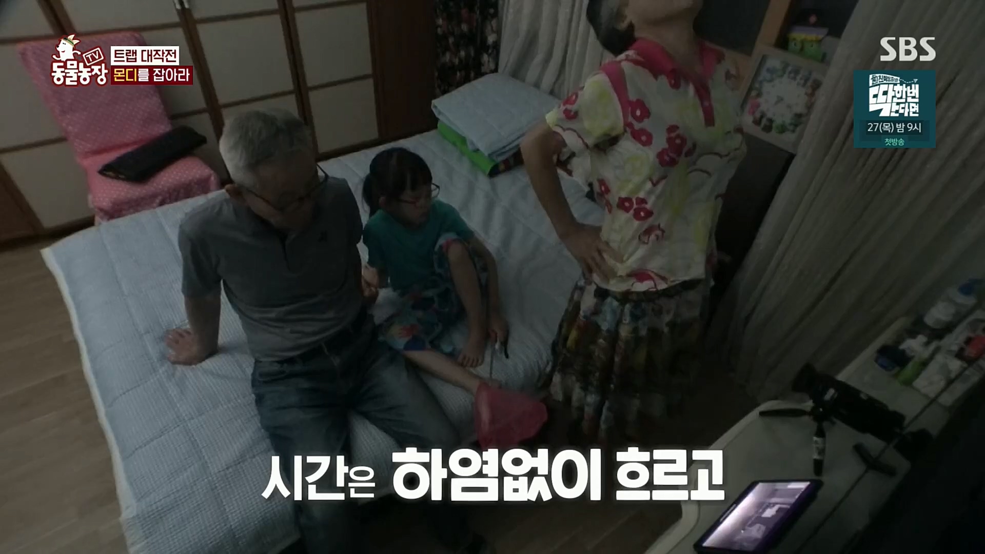 TV 동물농장.E1092.221023p.H264-F1RST.mp4_20221023_182739.649.jpg