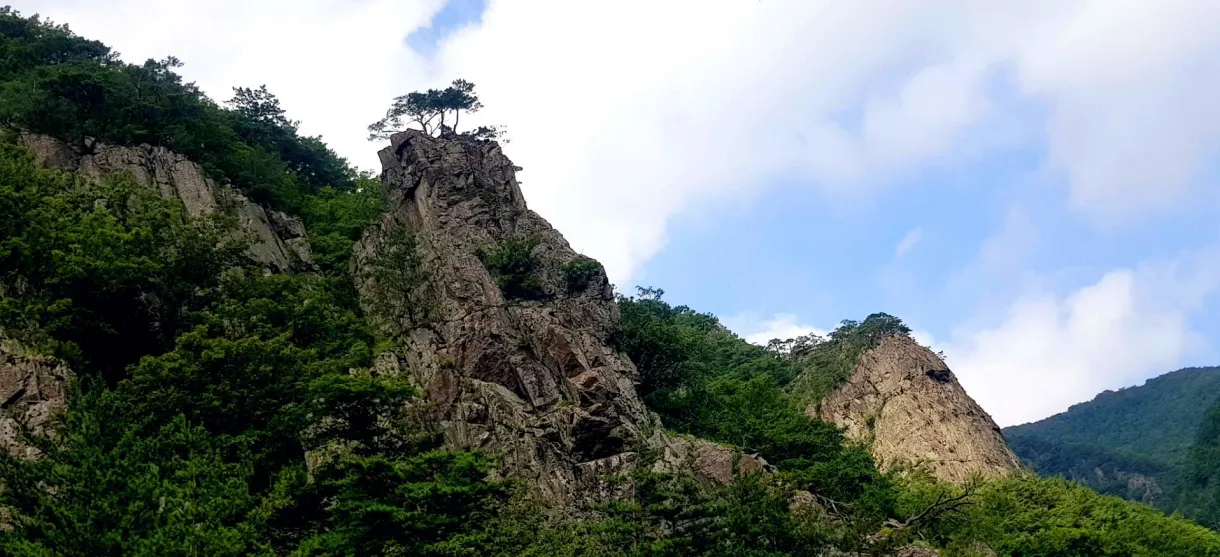 포항 동대산