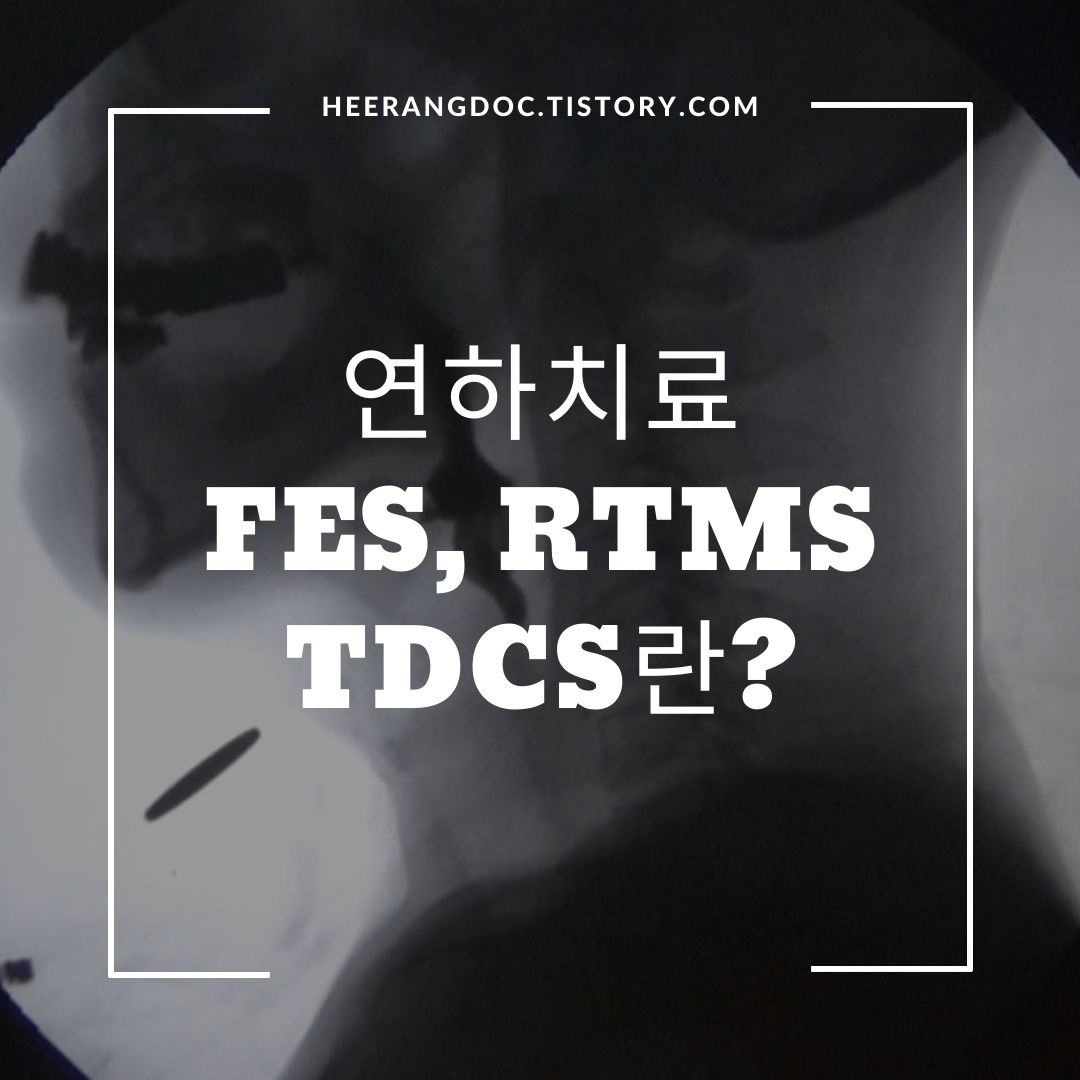 연하치료 FES rTMS tDCS