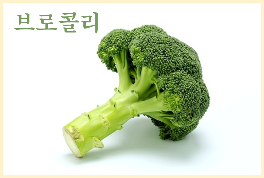 브로콜리의 놀라운 효능과 건강에 좋은 이유