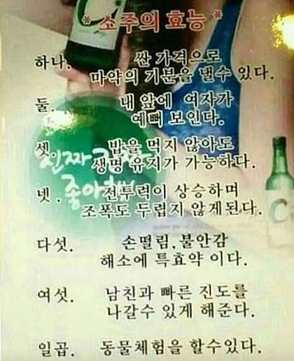  술의 효능