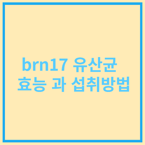  brn17 유산균의 다이어트 효능과 섭취방법