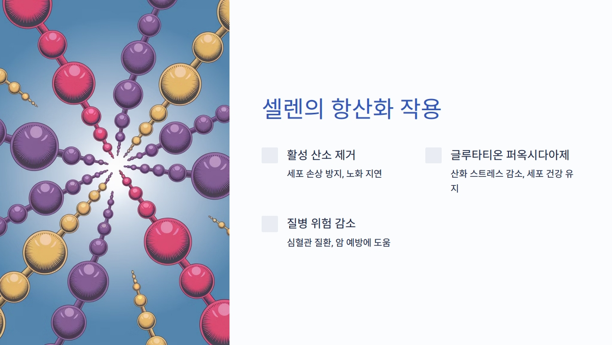 셀렌 효능