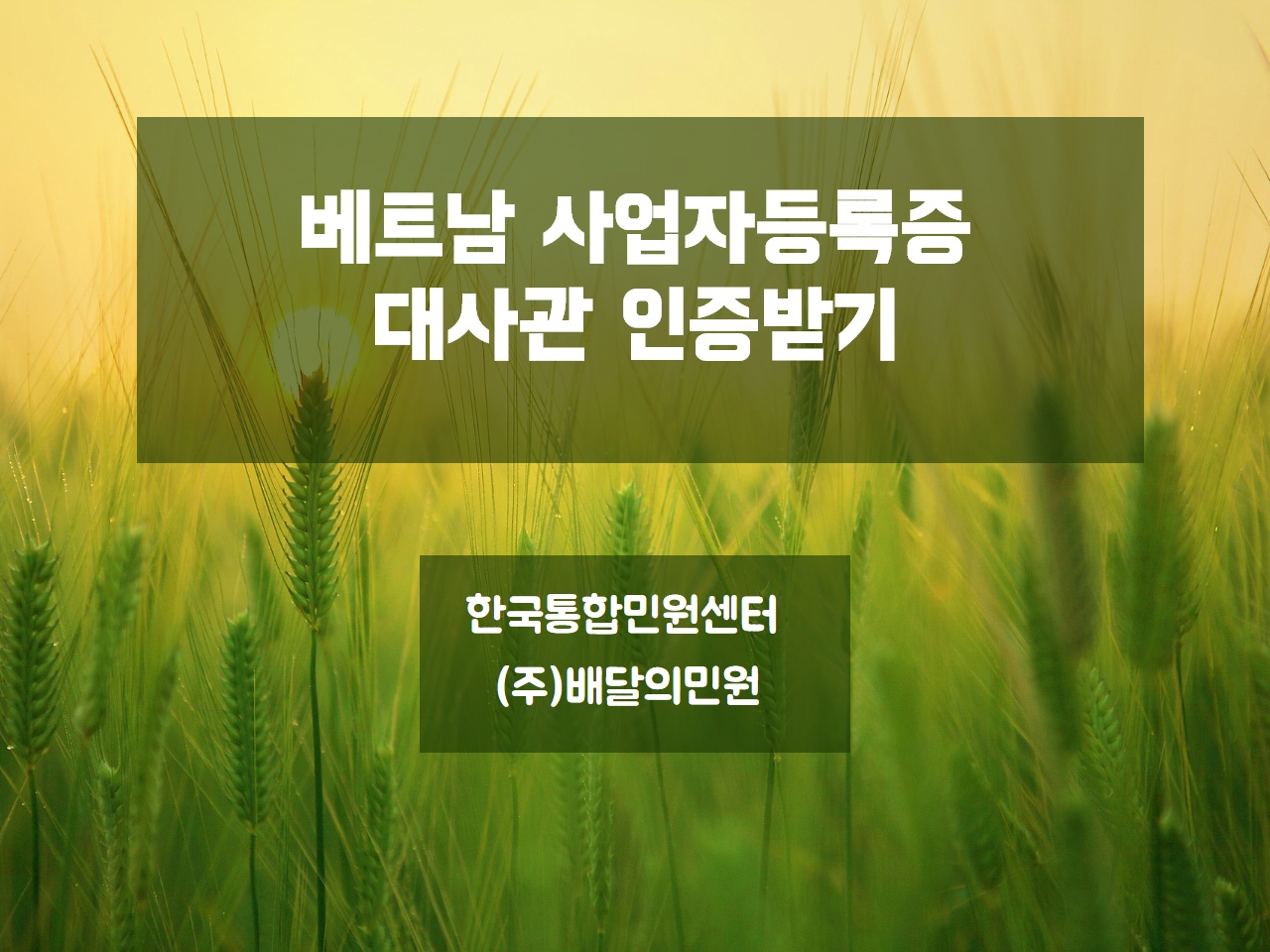  베트남 사업자등록증  대사관인증 어떻게 받나요??