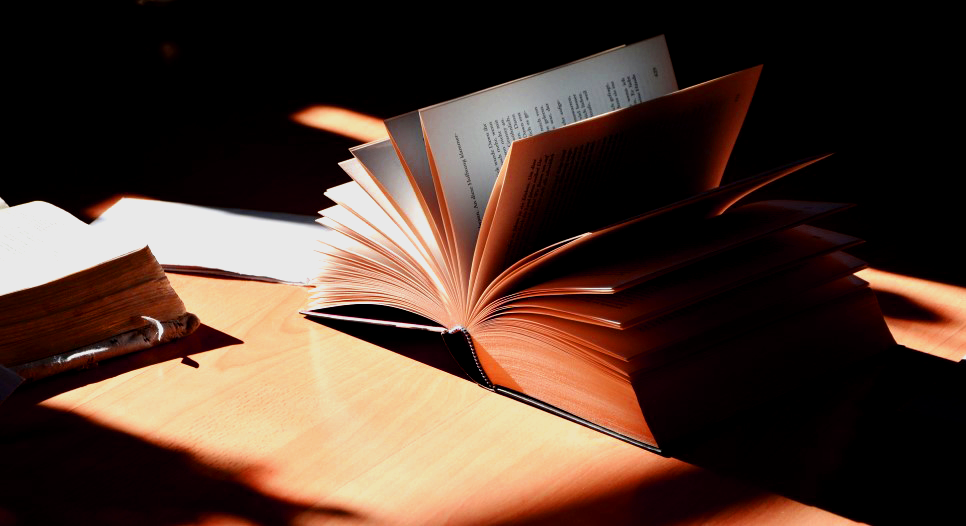 봄의 하인 같은 사위 김유정 3