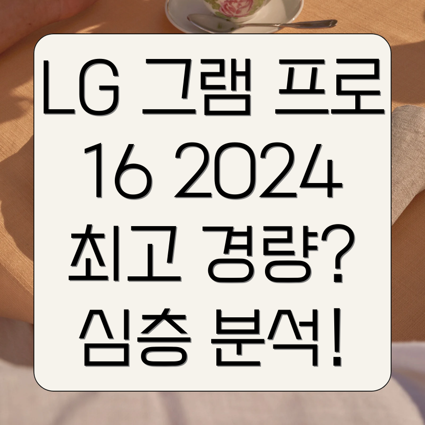 LG 그램 프로 16인치