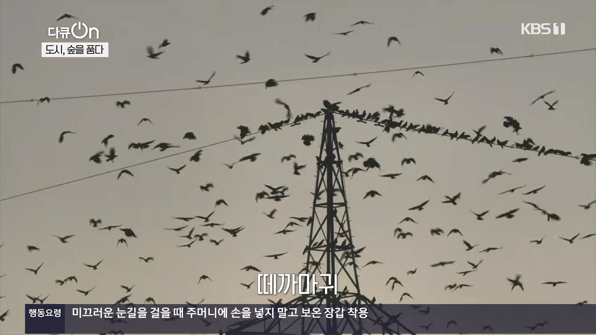 다큐 On.E232.231216p.H264-F1RST.mp4_20231220_210120.957.jpg