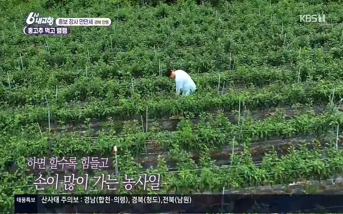 6시 내고향.E7611.220907p.H264-F1RST.mp4_20220908_204247.061.jpg