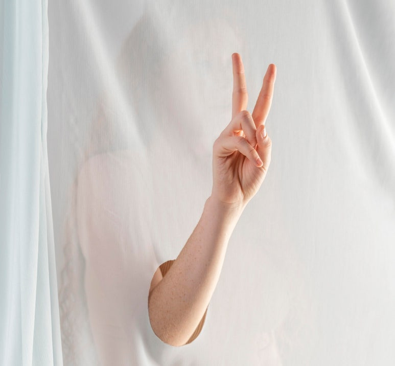 수 자연 이미지