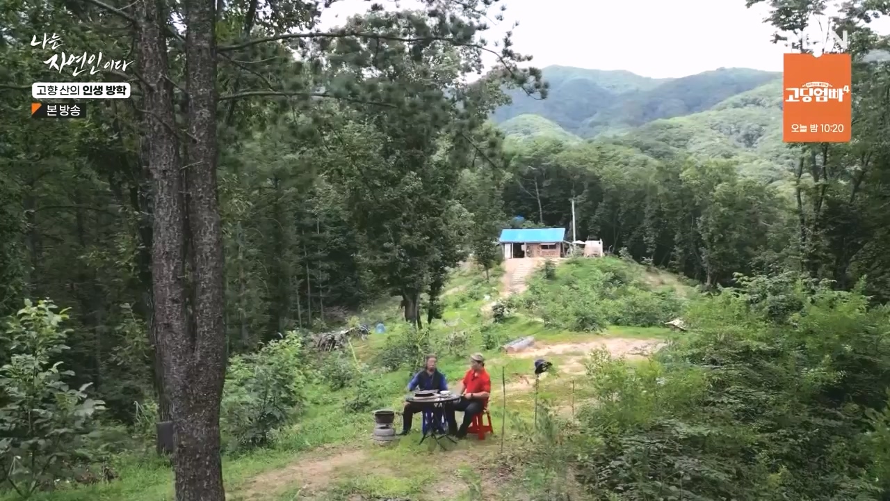 나는 자연인이다.E568.230824p-NEXT.mp4_20230824_203254.379.jpg