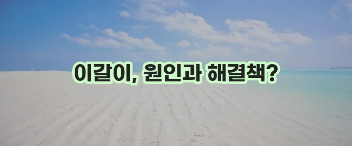 이갈이 마우스피스 원인부터 고치는 방법 확실히 알아봅시다!