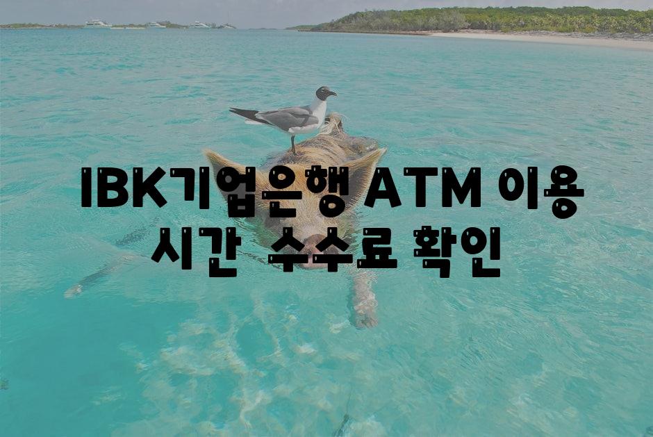  IBK기업은행 ATM 이용 시간  수수료 확인