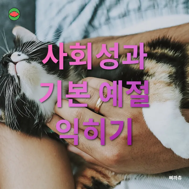 반려동물 청력 관리_2