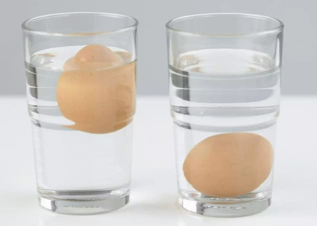 우유·달걀&#44; 상했는지 쉽게 확인하는 법 4 Easy Ways to Tell if an Egg Has Gone Bad