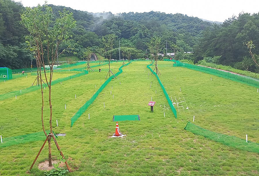 진주 동부5개면파크골프장. 경상남도 진주시 사봉면 사곡리 1853