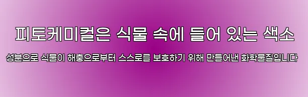  피토케미컬은 식물 속에 들어 있는 색소 성분으로 식물이 해충으로부터 스스로를 보호하기 위해 만들어낸 화학물질입니다