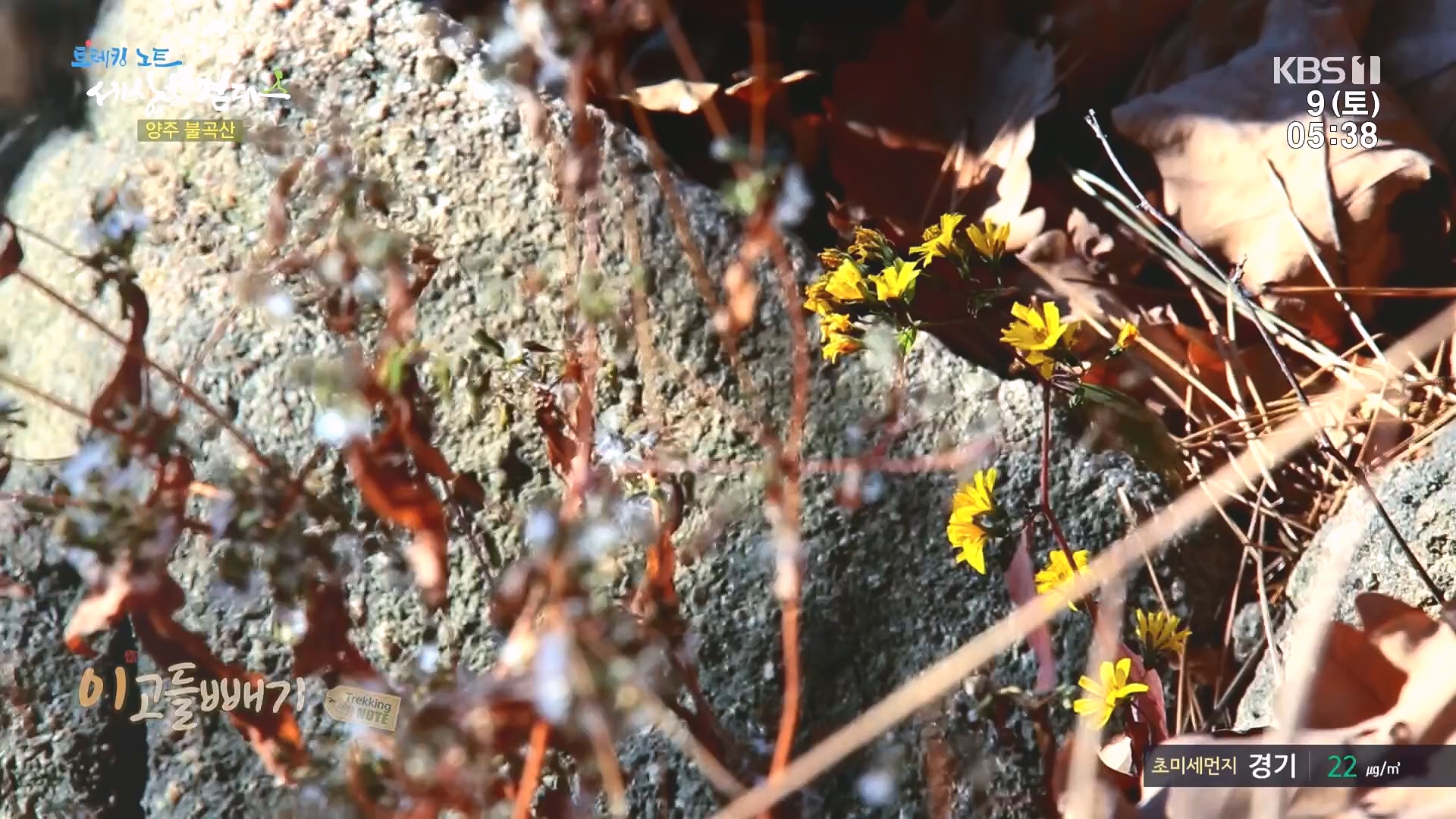 트레킹노트 세상을 걷다.E298.231209p.H264-F1RST.mp4_20240105_205425.627.jpg