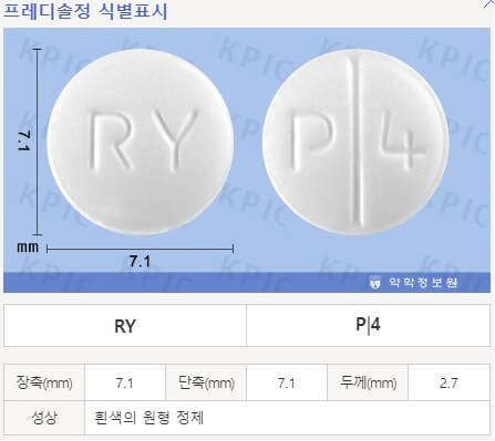 프레디솔정